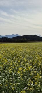 Foto von Silvia Hütter entlang der Tour