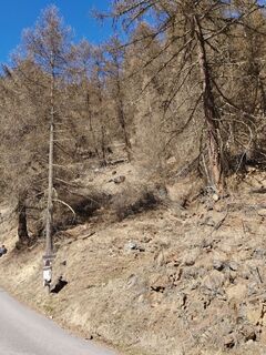 Foto de Peter Schröder a lo largo del recorrido