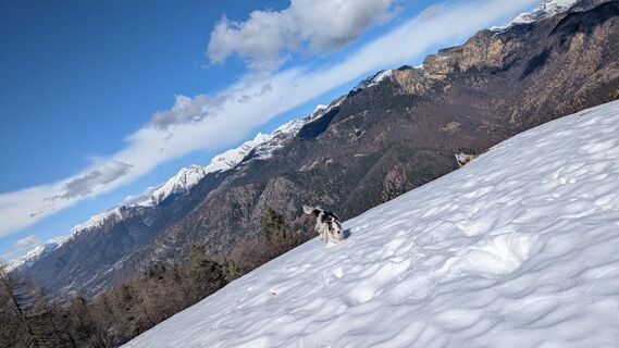 Photo de Margherita Polini le long du parcours