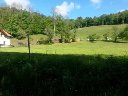 Höfnergraben