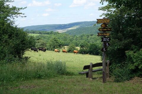 Landschaft bei Lüderbach