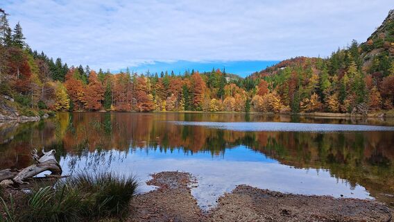 Foto da Gerhard Faugel lungo il tour