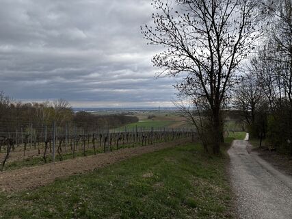 Foto de Tobi a lo largo del recorrido