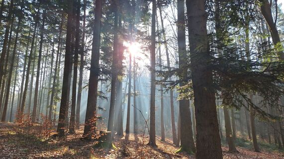 Foto von Regina Fleischmann entlang der Tour