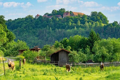 Igersheim Burg