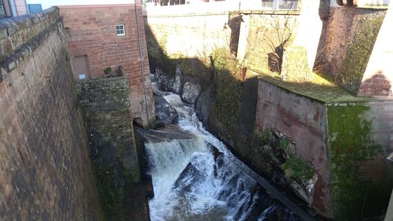 Zdjęcie z Günter Kleutsch wzdłuż trasy