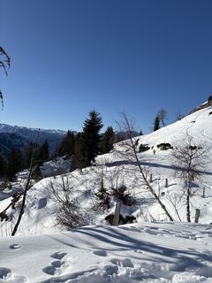 Photo de Heinz Sperl le long du parcours