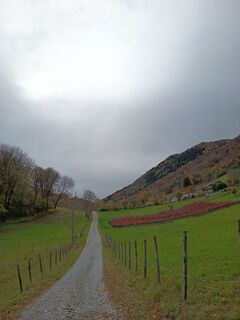 Zdjęcie z Aner wzdłuż trasy