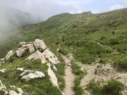Foto von “Jerry” Brunetti entlang der Tour
