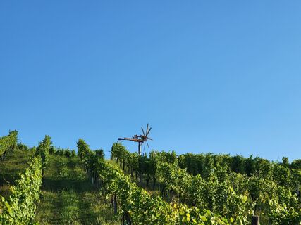 Foto von BergfexxMaxx entlang der Tour