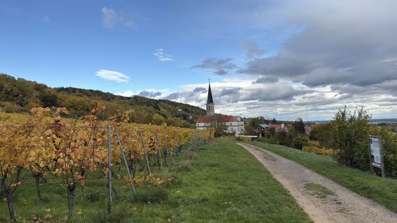 Fotografia z Raphael Höller na trase