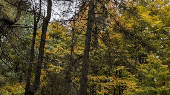 Photo de Gabor Szenderffy le long du parcours