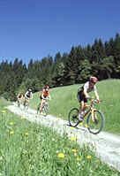 Mountainbiken rund um Flachau. 