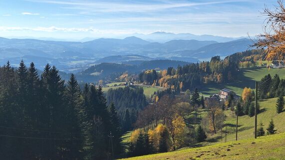Foto de Regina Fleischmann a lo largo del recorrido