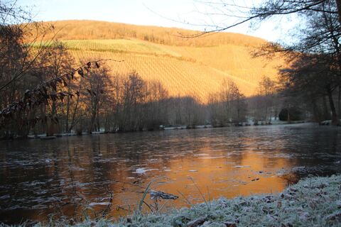 Zdjęcie z Günter Kleutsch wzdłuż trasy