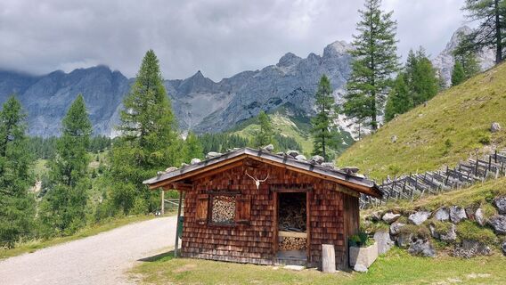 Foto von Julia Hess 1 entlang der Tour