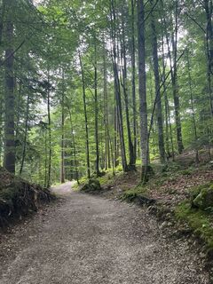 Foto von deif35 entlang der Tour