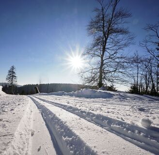 Loipe auf dem Ettelsberg im Sonnenschein