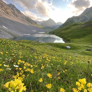 Älplisee im Sommer