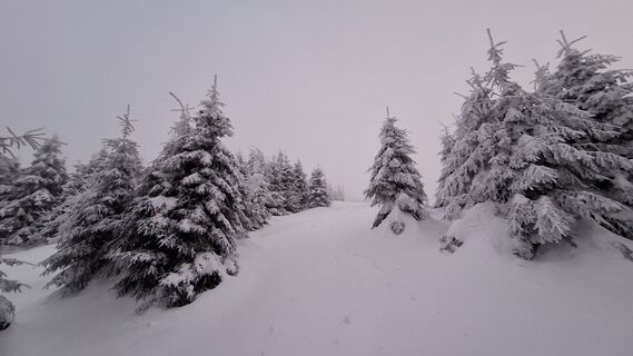 Foto de Dávid Mjartan a lo largo del recorrido