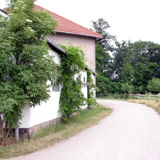 Neumühle.