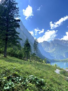 Photo de Yojo le long du parcours