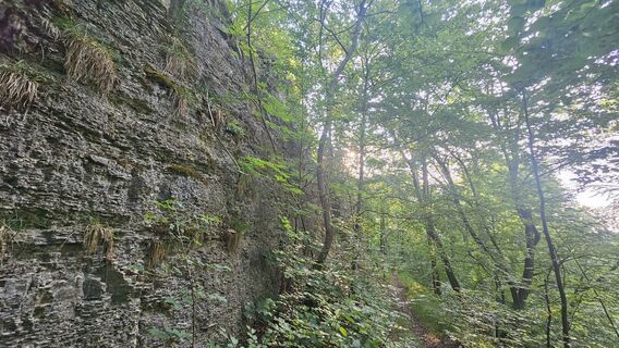 Photo de Boba Weishaar le long du parcours