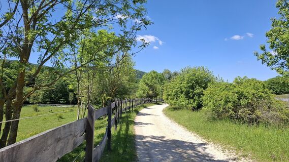 Photo de Márti le long du parcours
