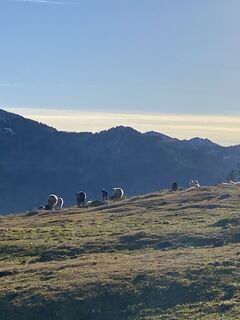 Foto von Sven Krieblin entlang der Tour