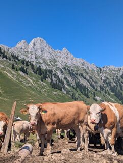 Foto von Julian Lewisch entlang der Tour