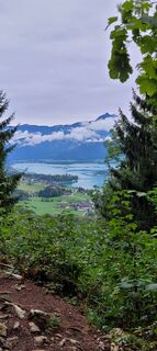 Foto von Nicky entlang der Tour