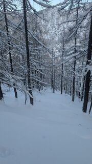 Photo de LXT le long du parcours