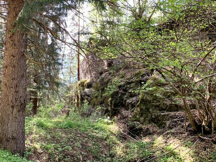 Burgruine Schwarzenstein