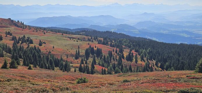Fotografia z Lpetra na trase
