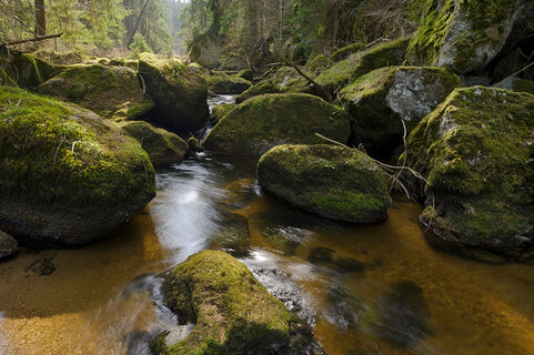 Rappottenstein Schütt