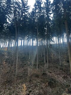 Foto von Sweet I‘m entlang der Tour