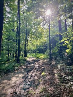 Fotó a Pfalzi honlapról a túra során