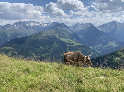 Fotografia z Koen De Wit na trase