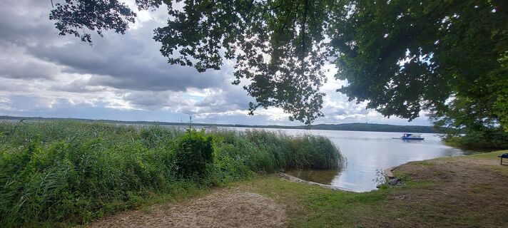 Fotografija s spletne strani polini11 na poti
