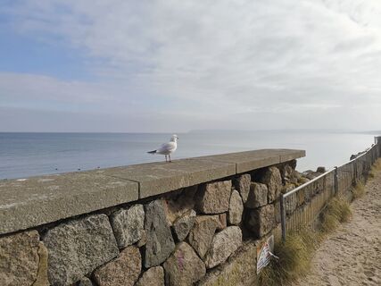 Foto de Jürgen Neun 2 a lo largo del recorrido