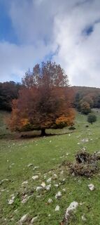 Foto de Dellinavelli Eraldo a lo largo del recorrido
