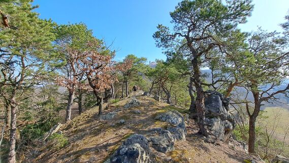 Foto von Frau Gramurli entlang der Tour