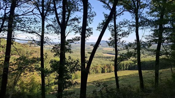 Photo de Márti le long du parcours