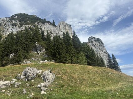 Fotografija s spletne strani Flohoenisch na poti