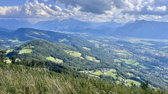 Photo de Mountain Cat ? ⛰️ le long du parcours