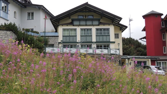Haus Helga Appartements