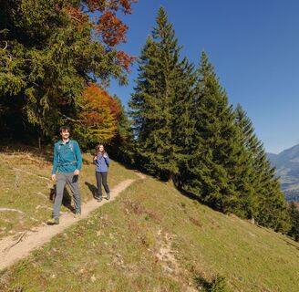 Im Herbst auf dem Premium-Wanderweg