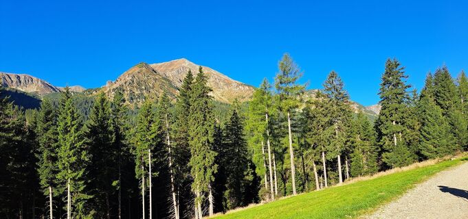 Photo de Anna Wilding le long du parcours