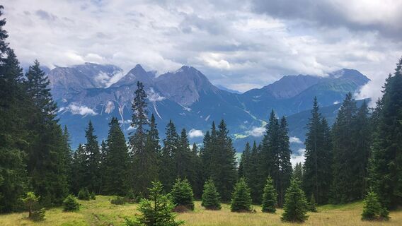 Foto von Ursula Schmid entlang der Tour