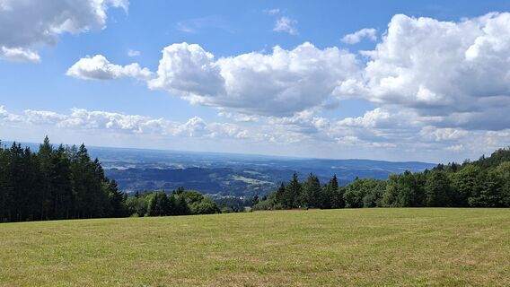 Photo de Fuchs Irene le long du parcours